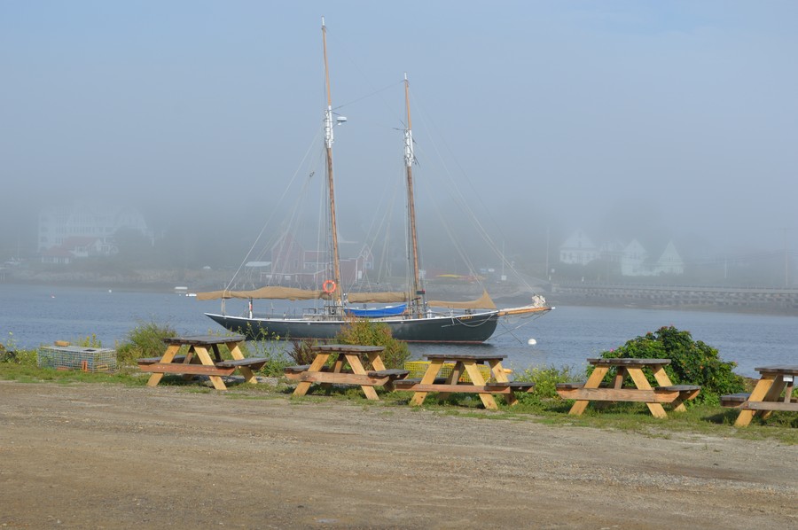 DSC_0221.JPG
