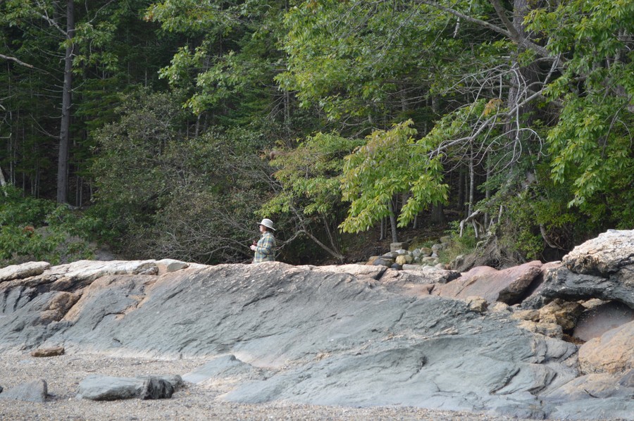 DSC_0247.JPG